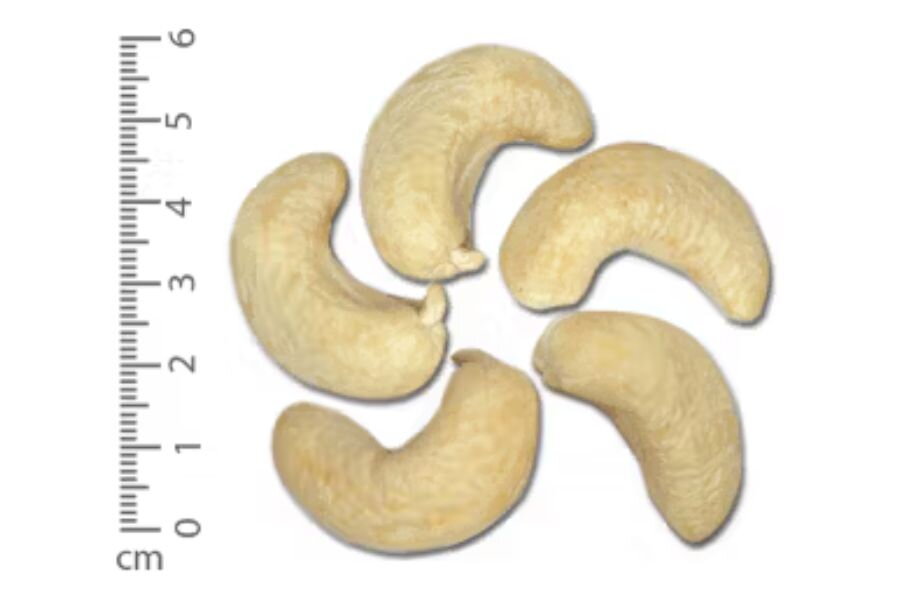 What Is Cashew Nut W160? How to Distinguish It Other Types of Cashews