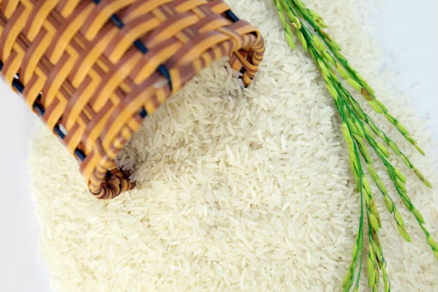 Gạo Thơm ST21 là gì? So sánh với các loại gạo ST khác